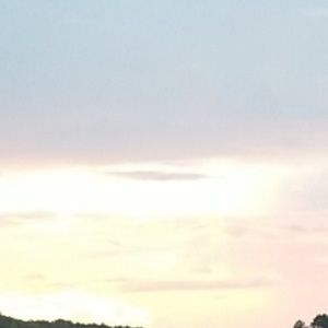 Meet your Posher, Chase